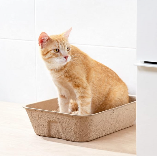 Biologisch Afbreekbare Kattenbak - Duurzame Hygiëne voor Je Huisdier