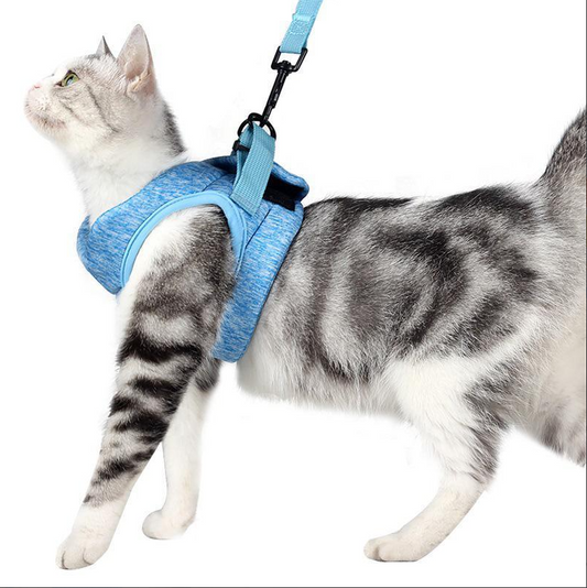 Kattentuig met Riem