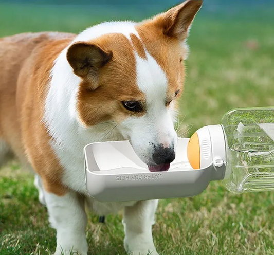 2-in-1 Drinkfles voor Honden - Waterfles met Voerbak voor Onderweg