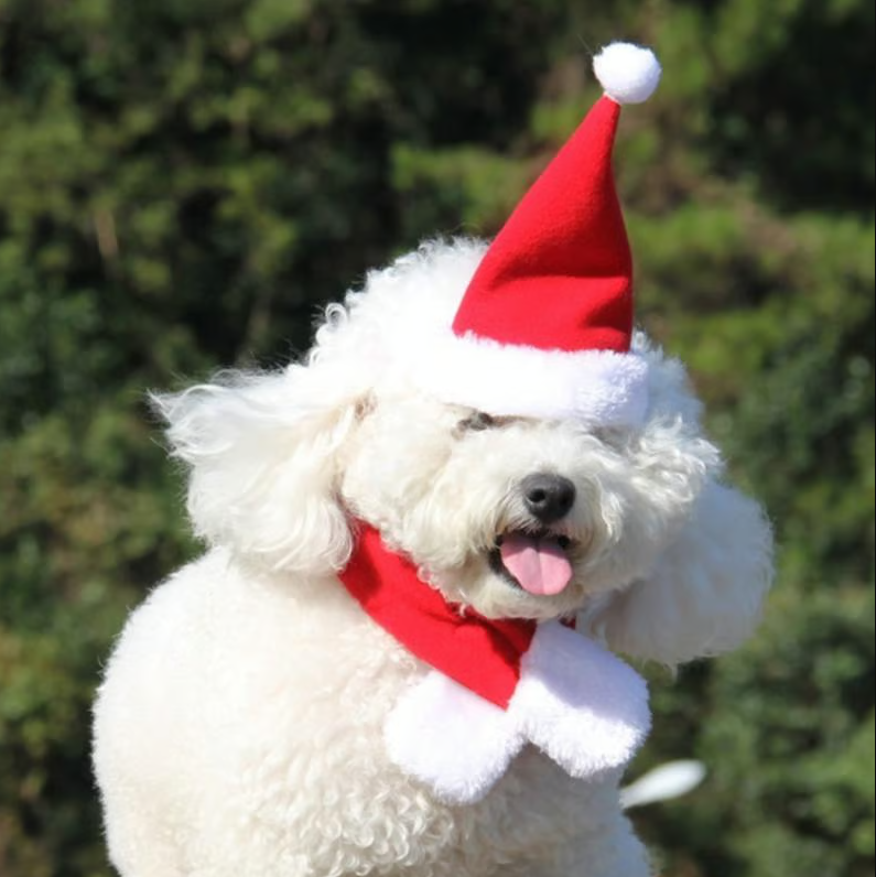 Kerstmuts Met Sjaal Voor Huisdieren