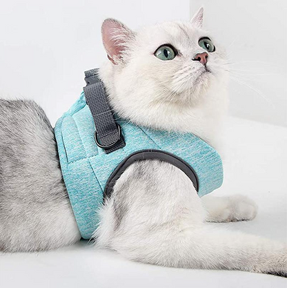 Kattentuig met Riem