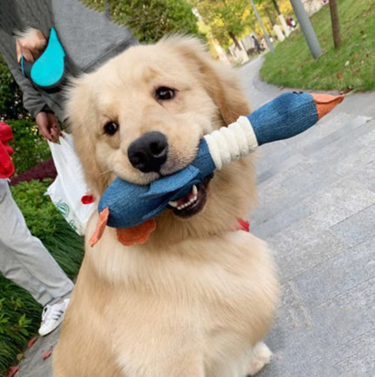 Robuust Hondenspeelgoed (2 voor 1 Aanbieding)