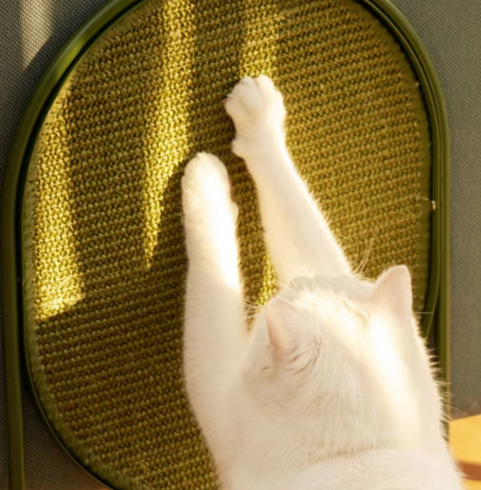 Krabpaal voor Katten in een Modern Design - Sisal Kattenspeeltje voor Klauwverzorging