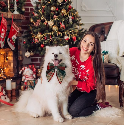 Gekleurde Hondenhalsband met Strik voor Kerst en Feestelijke Gelegenheden