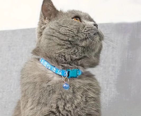 Veilige Kattenhalsband met Bel - Verstelbare Halsband met Pootpatroon en Snelsluiting