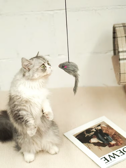 Interactief Deurspeeltje - Springende Muis voor Actieve Katten