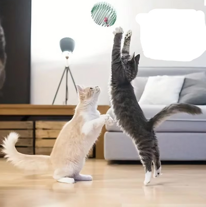 Muizen in Spiraalkooi - Prooispel voor Katten