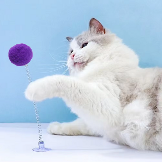 Federbal met Zuignap - Interactief Kattenspeeltje