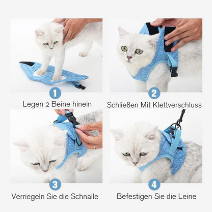 Kattentuig met Riem