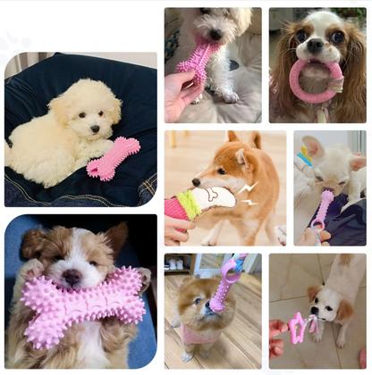Puppy Speelgoedset - Bijtbestendig Pluche Kauwspeelgoed voor Honden
