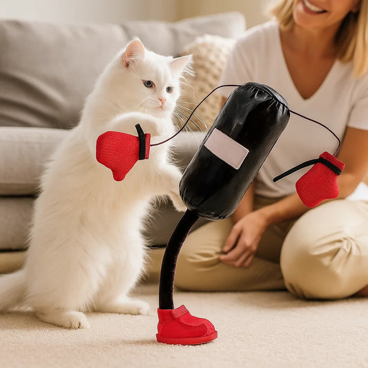 Interactief Bokszak Kattenspeeltje