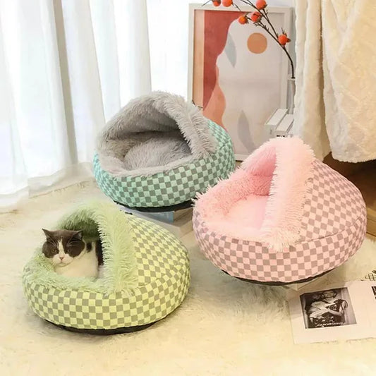 Kleurige Warme Kattengrot
